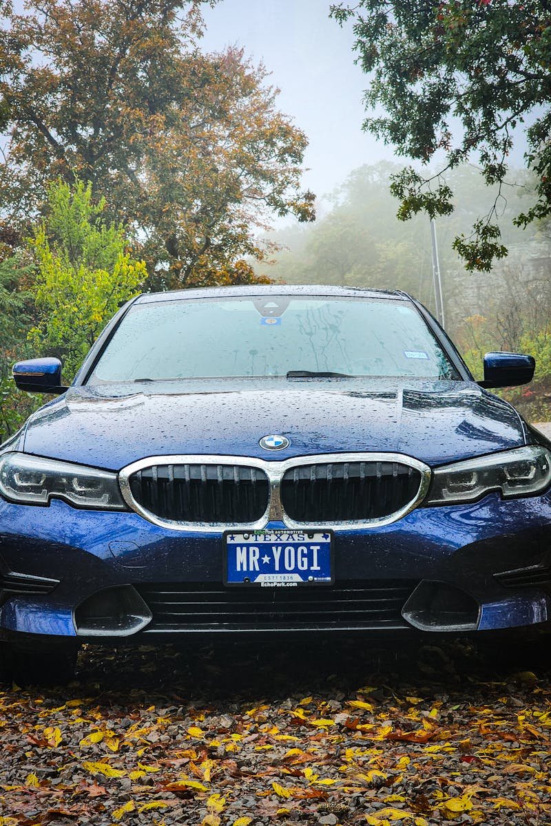 A luxurious BMW 3 Series parked amidst colorful autumn scenery on a rainy day.