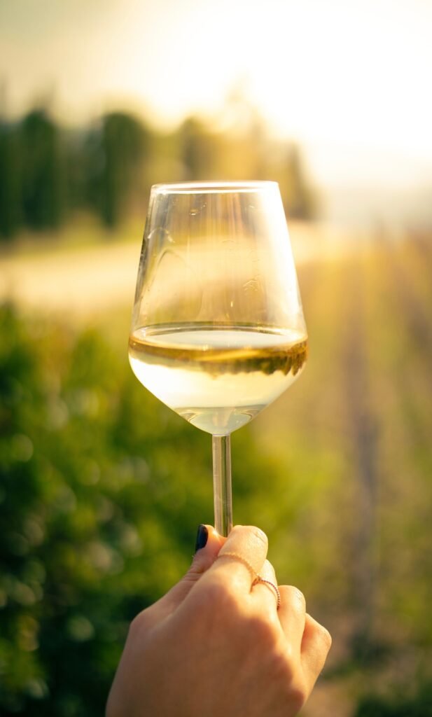 Wine tasting in the Swan Valley vineyards, Perth